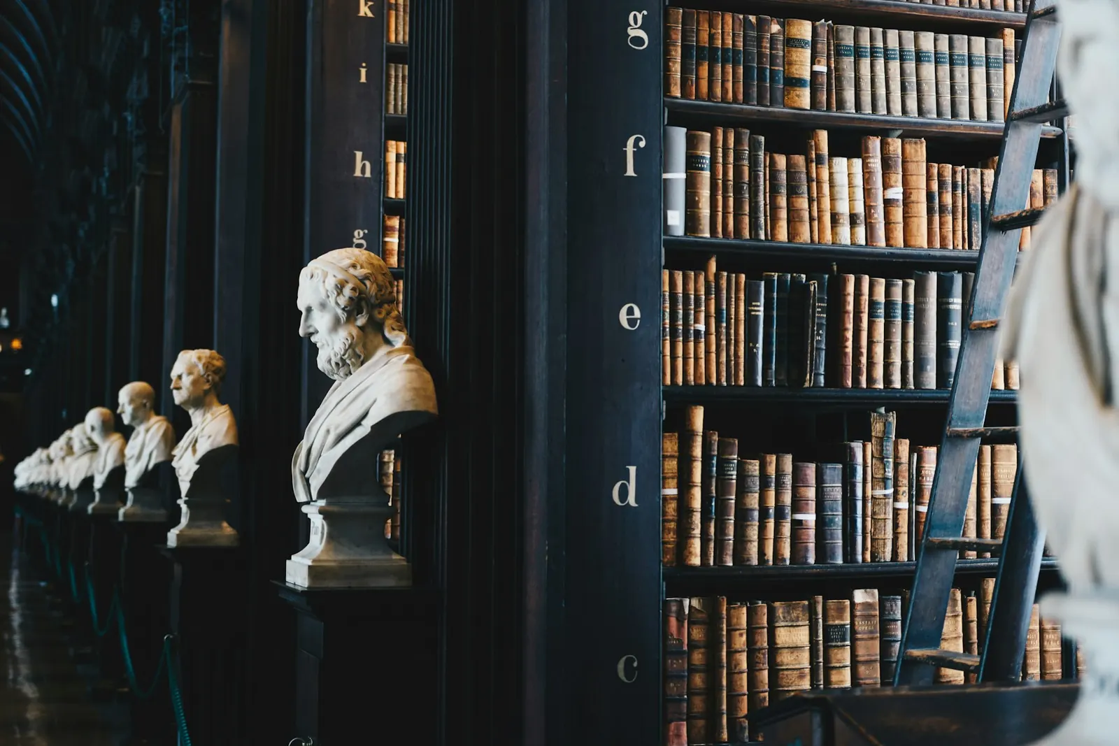 Biblioteka prawnicza z rzędami tomów i klasycznym popiersiem
